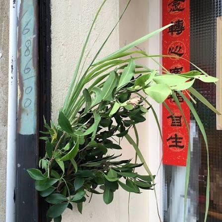 掛艾草 mugwort hung by the doorway