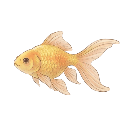 金魚腦