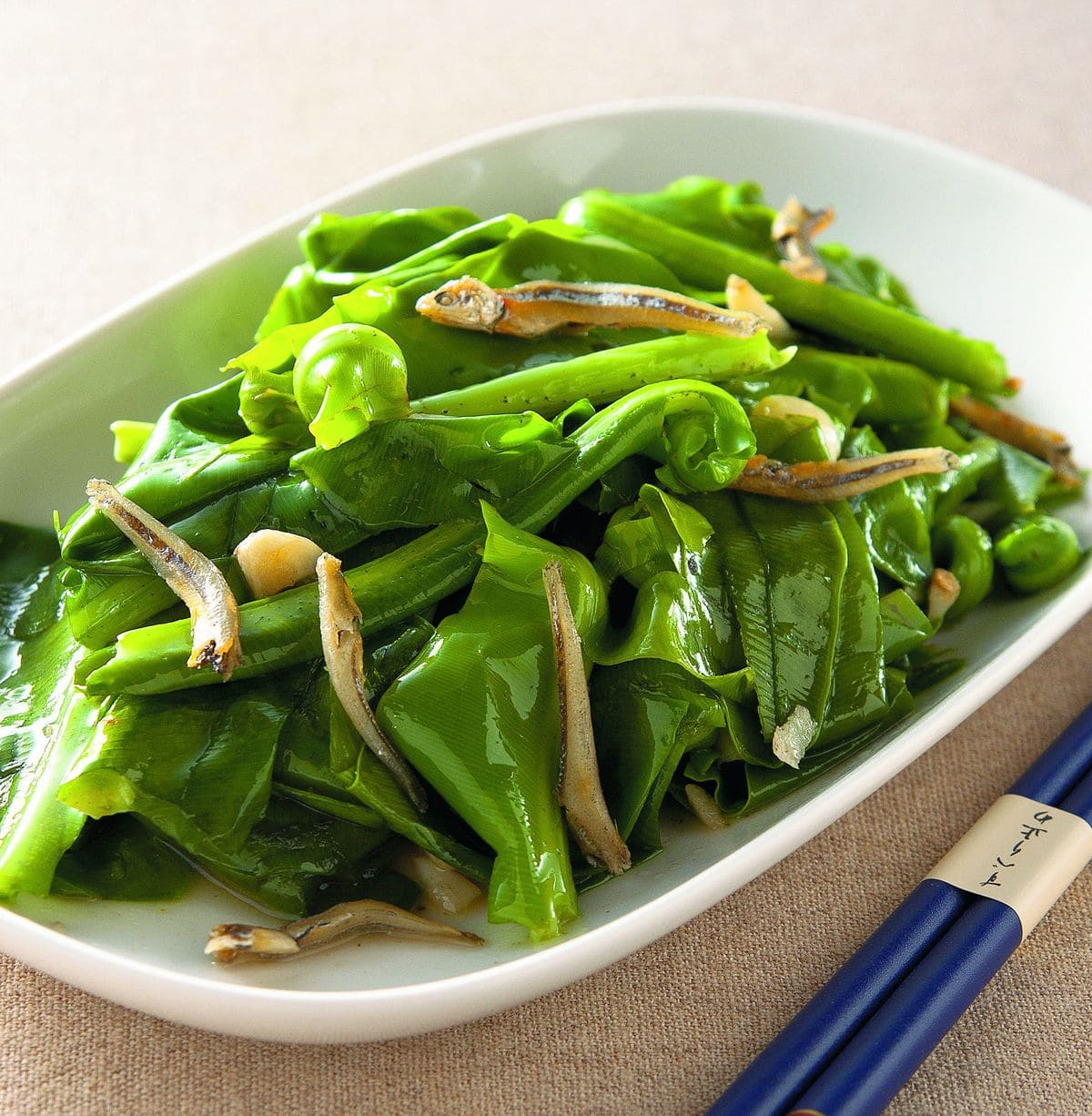 Bird's-nest Fern