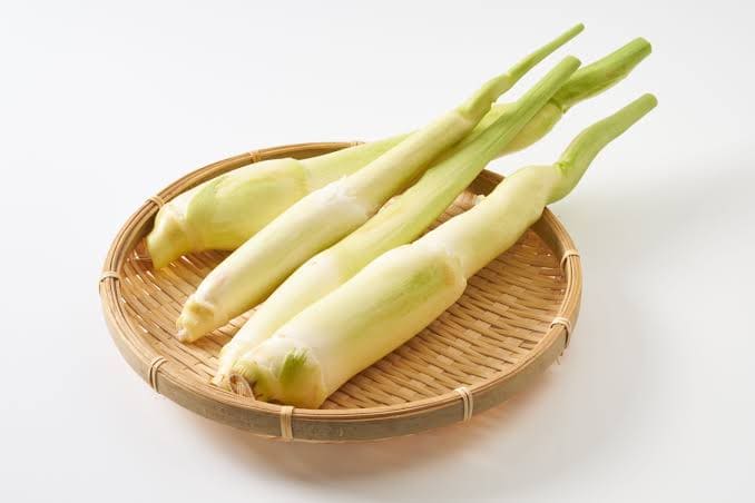 Water Bamboo