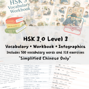 HSK 3 Vocabulary • Workbook • Infographics