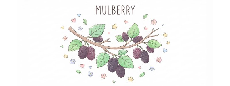 The Benefits of Mulberries