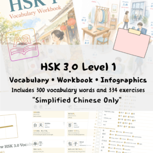 HSK 1 Vocabulary • Workbook • Infographics