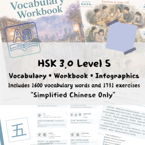 HSK 5 Vocabulary • Workbook • Infographics